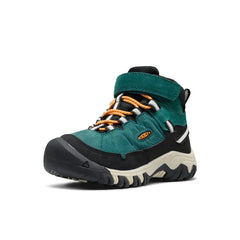 Little Kids' Targhee IV Waterproof Hiking Boot
