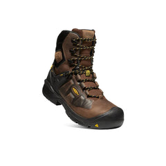 Men's Dover 8" Insulated Waterproof Boot (Carbon Toe)